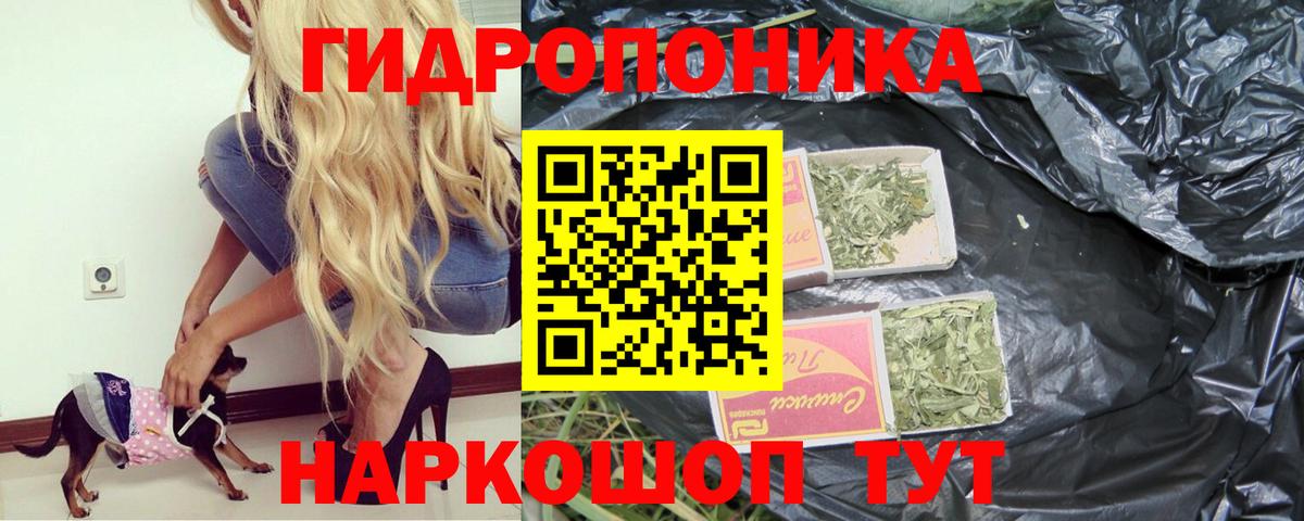 МАРИХУАНА MAZAR  Вход с VPN  Советская Гавань  Канабис MAZAR  Каннабис Amnesia 
